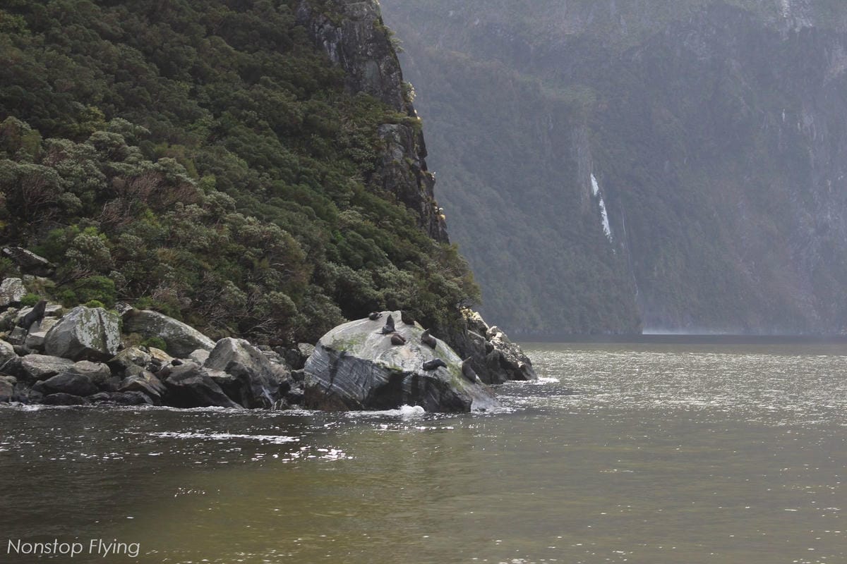 IMG_0155.jpg IMG_0155.jpg