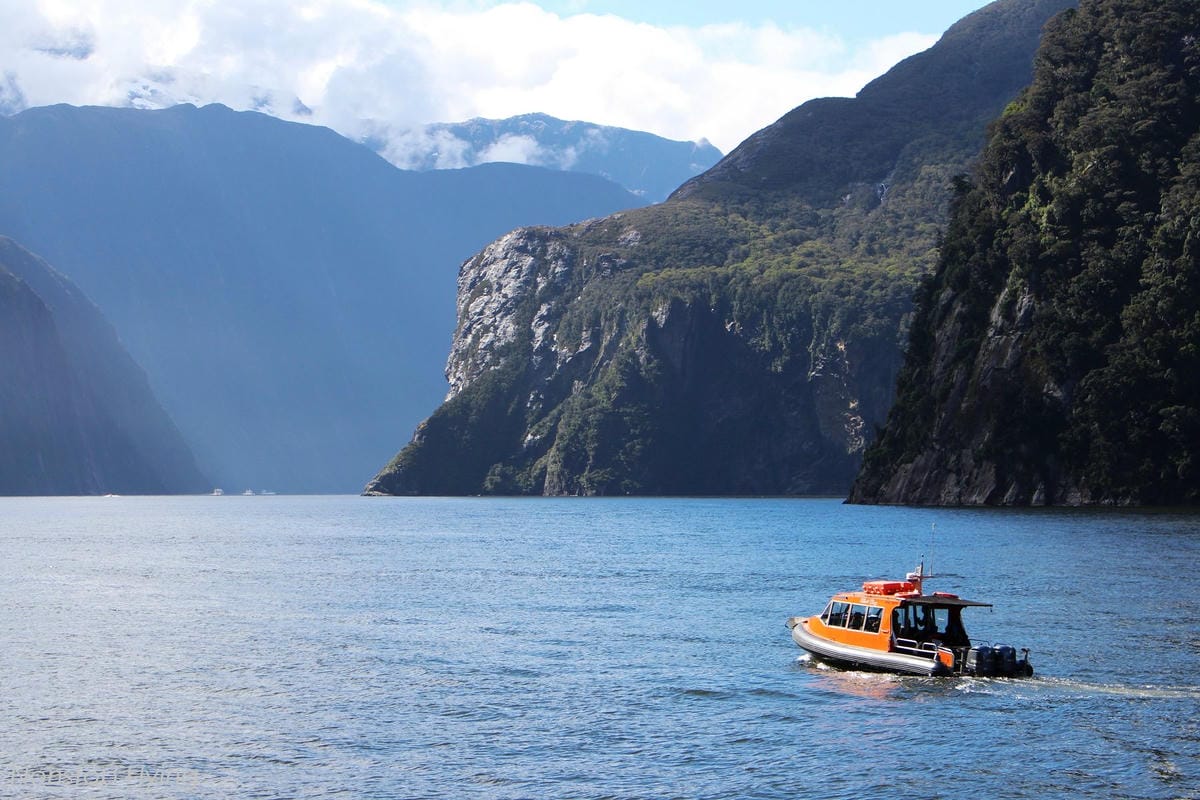 IMG_0131.jpg IMG_0131.jpg