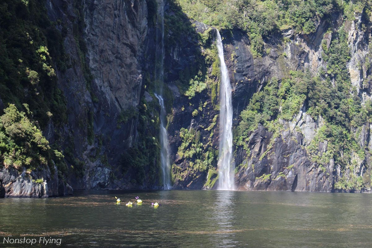 IMG_0113.jpg IMG_0113.jpg