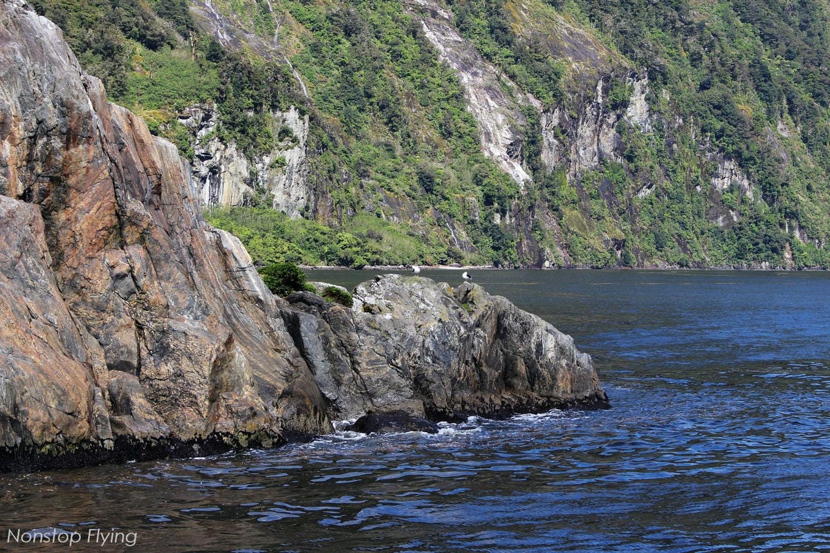 IMG_0111.jpg IMG_0111.jpg