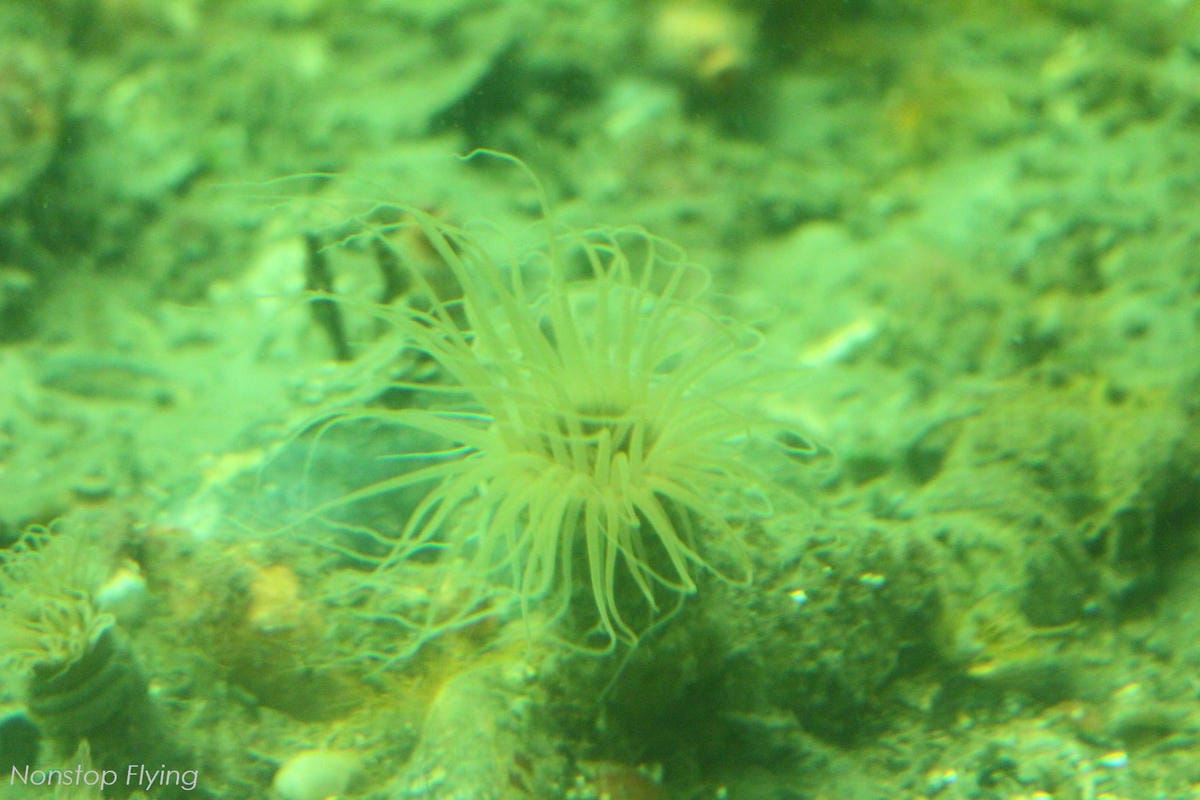 IMG_0177.jpg IMG_0177.jpg