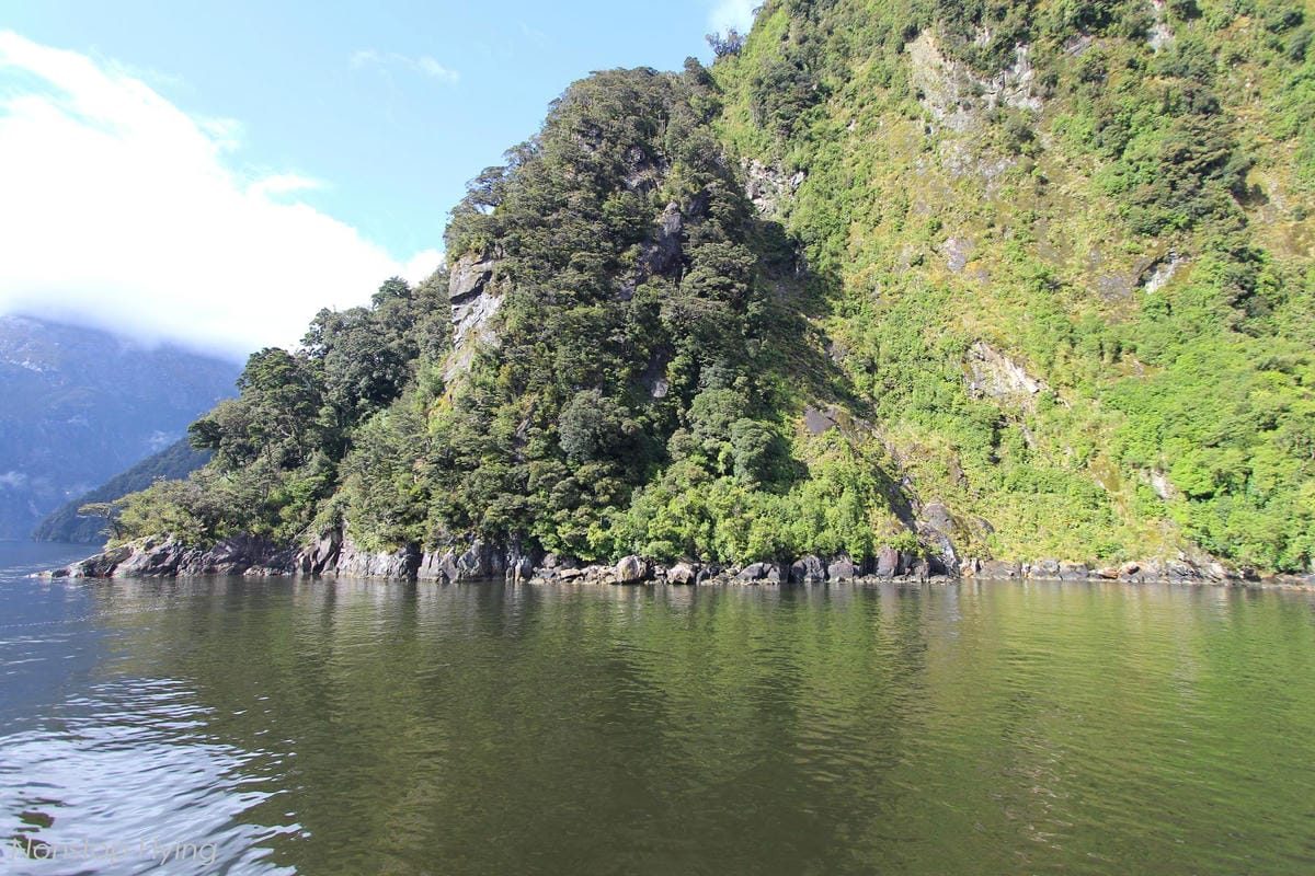 IMG_0078.jpg IMG_0078.jpg