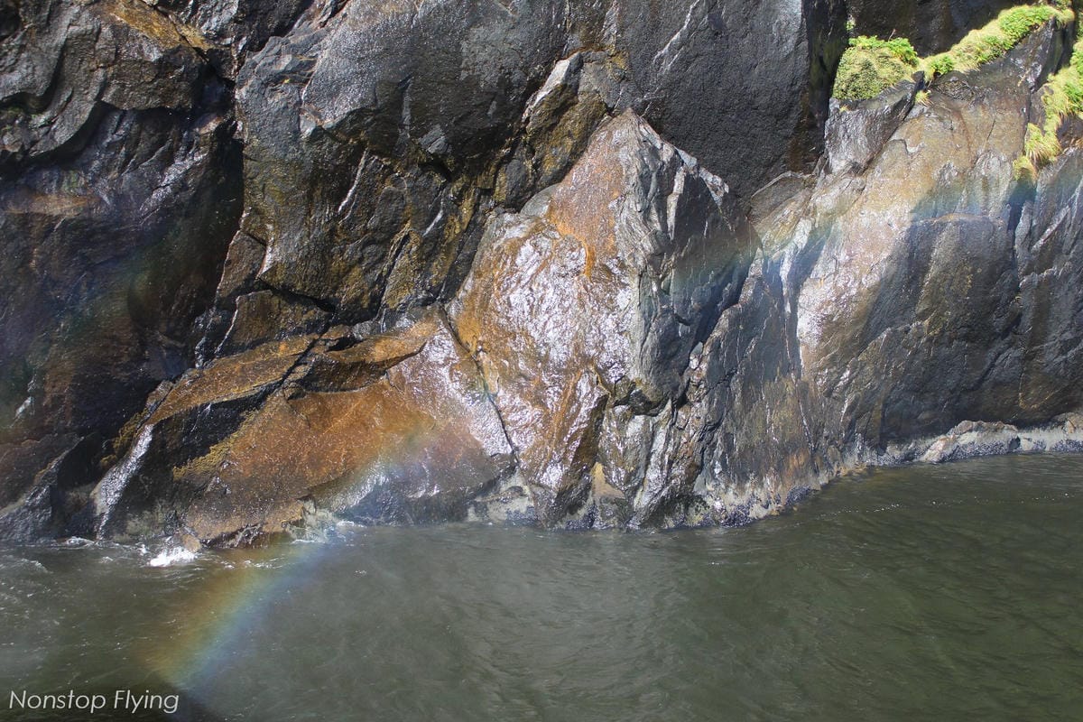 IMG_0116.jpg IMG_0116.jpg