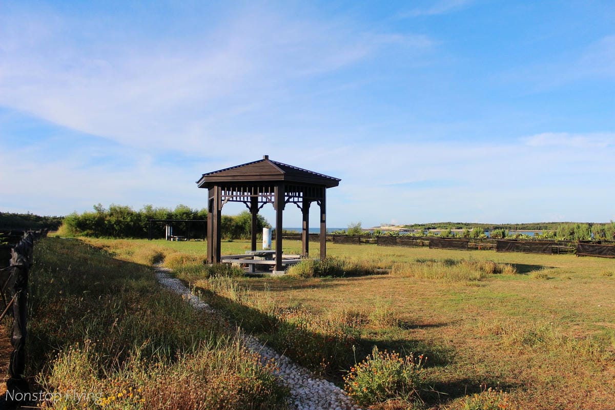 IMG_3147.jpg IMG_3147.jpg