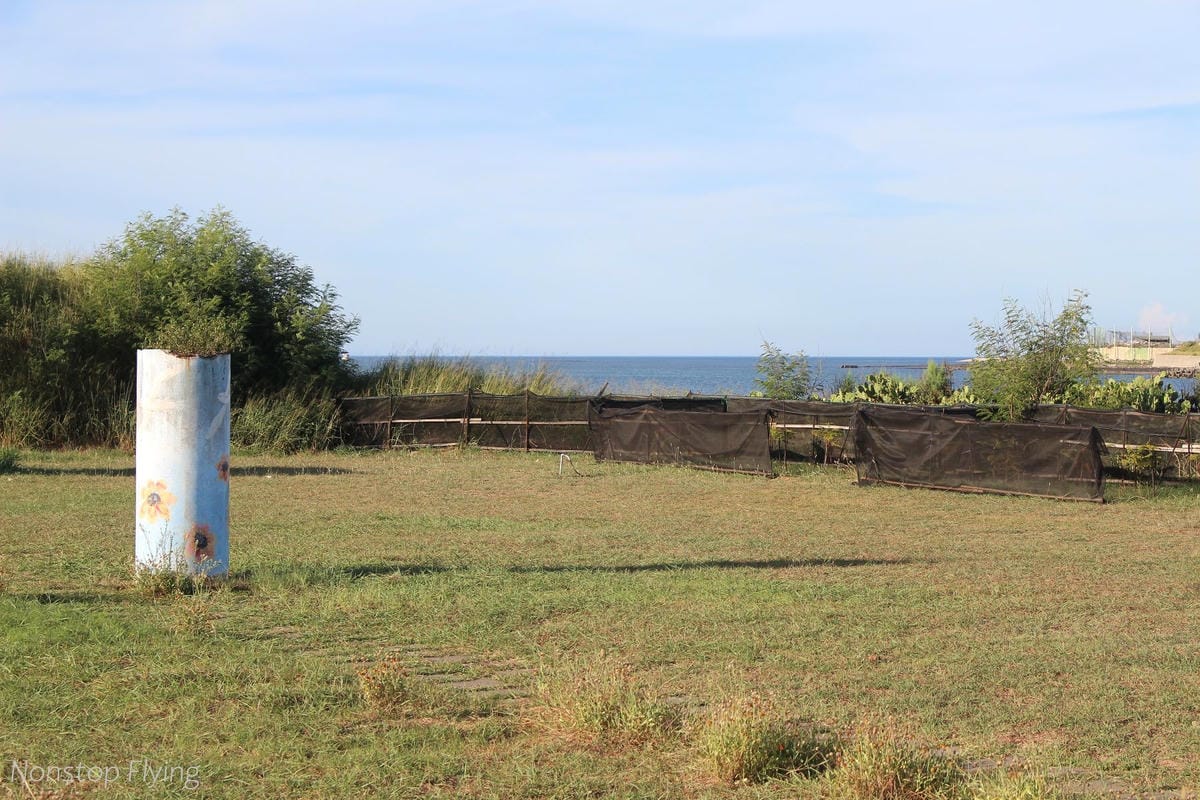 IMG_3145.jpg IMG_3145.jpg