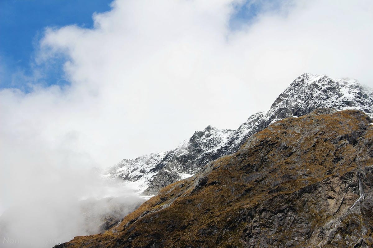 IMG_0273.jpg IMG_0273.jpg