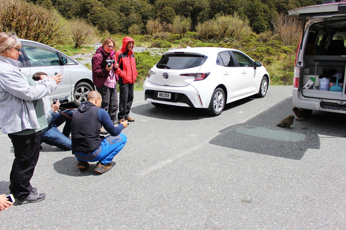 IMG_0246.jpg IMG_0246.jpg