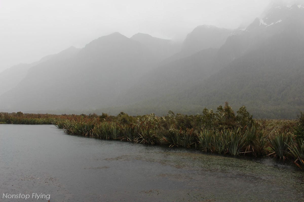 IMG_9842.jpg IMG_9842.jpg