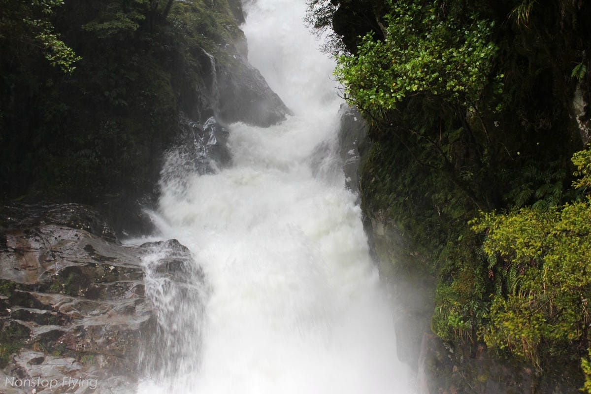 IMG_9857.jpg IMG_9857.jpg