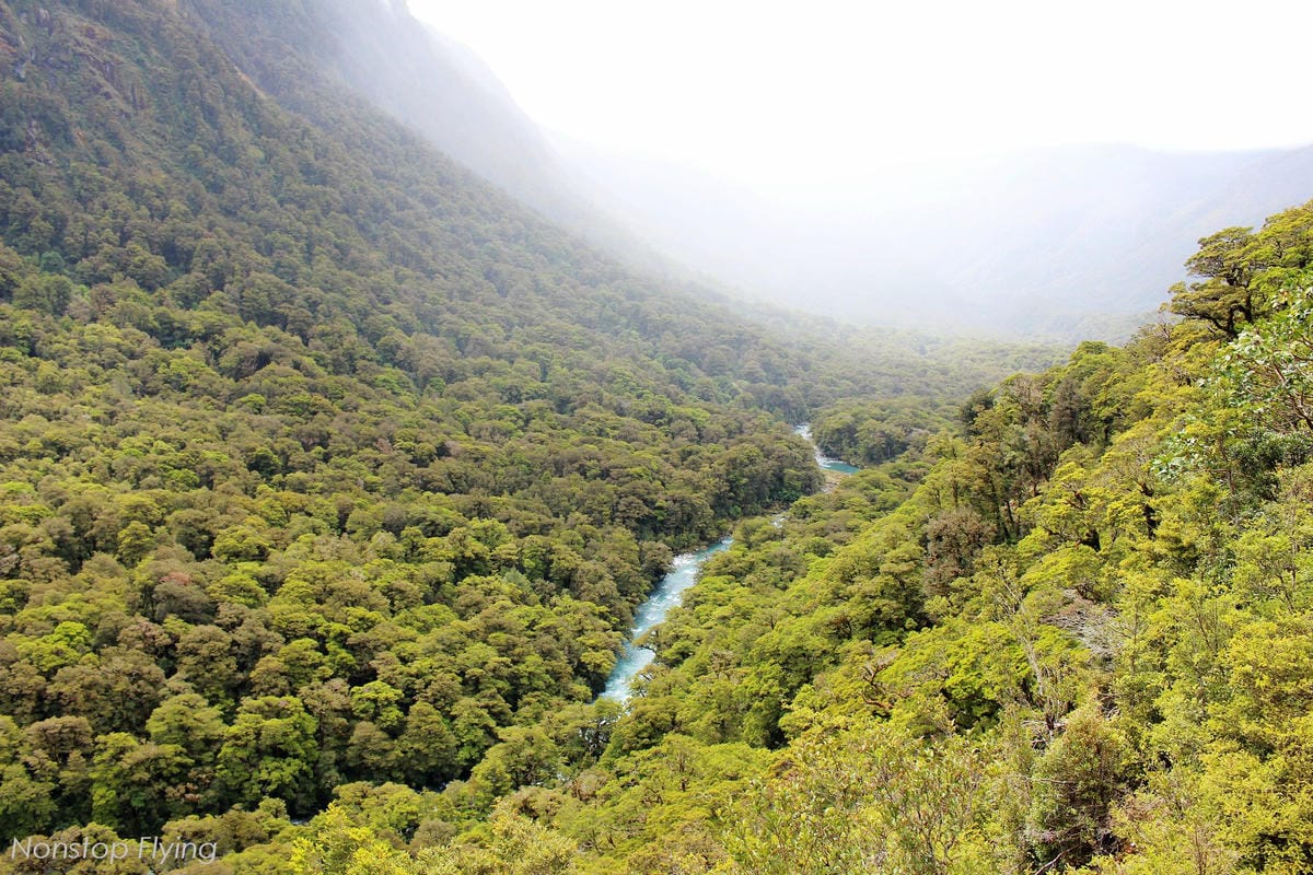 IMG_0286.jpg IMG_0286.jpg