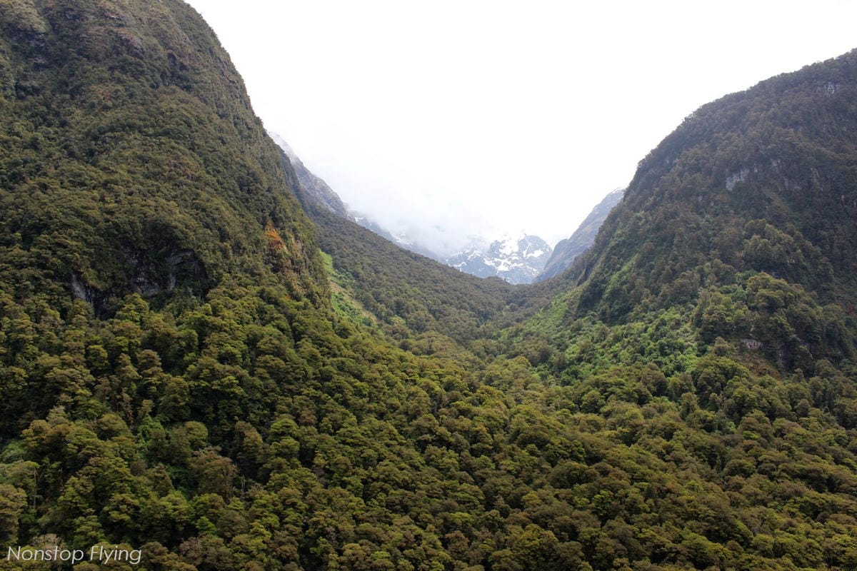 IMG_0287.jpg IMG_0287.jpg