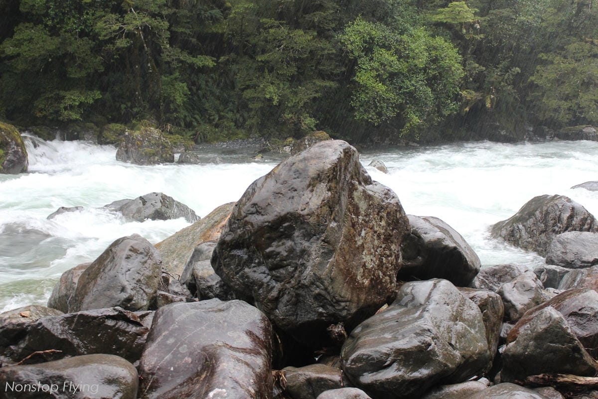 IMG_9855.jpg IMG_9855.jpg