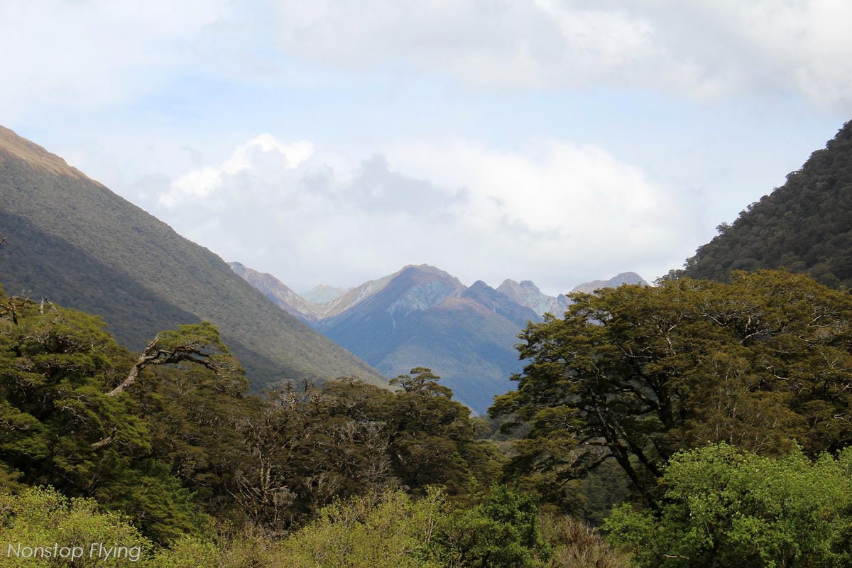 IMG_0288.jpg IMG_0288.jpg