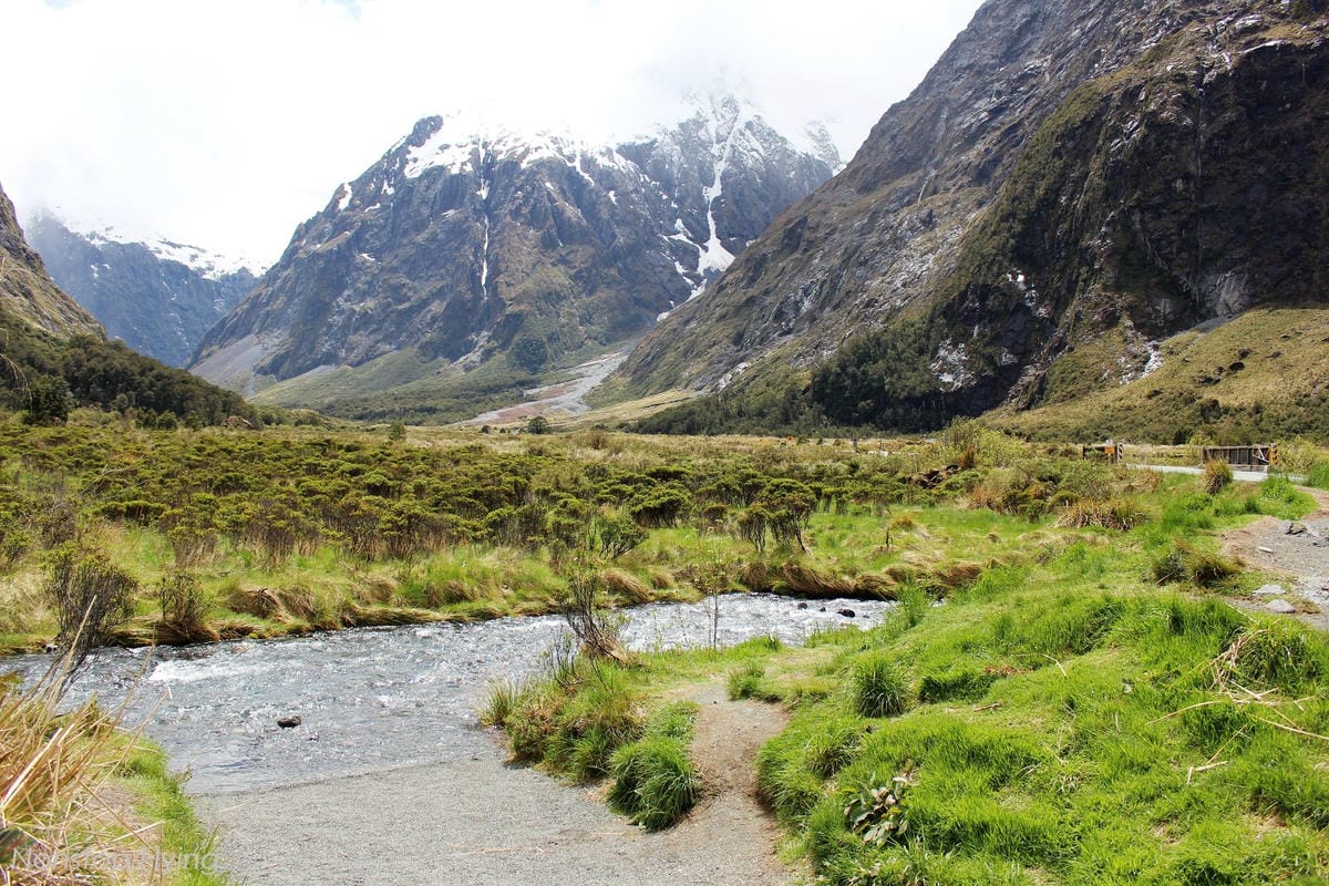 IMG_0248.jpg IMG_0248.jpg