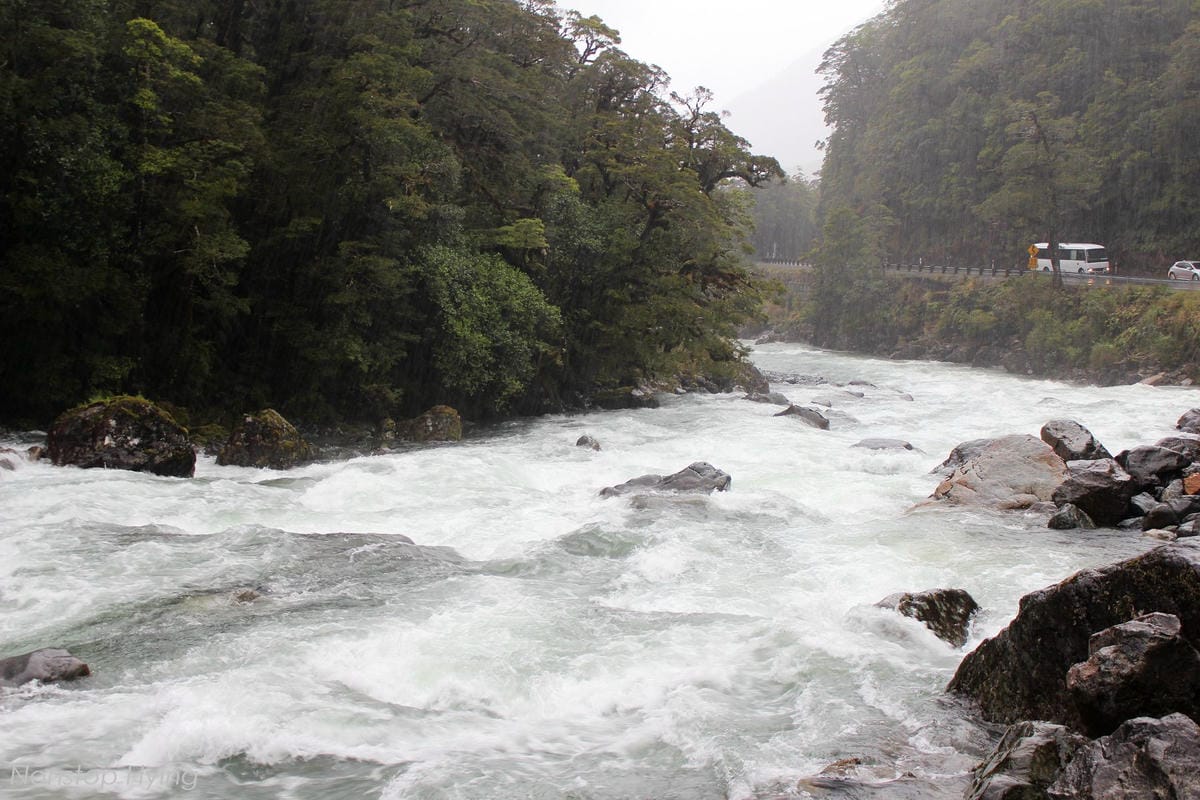 IMG_9853.jpg IMG_9853.jpg