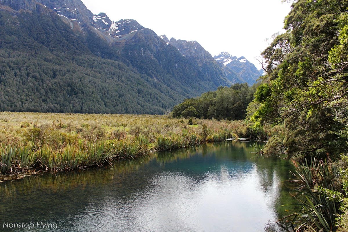 IMG_0306.jpg IMG_0306.jpg