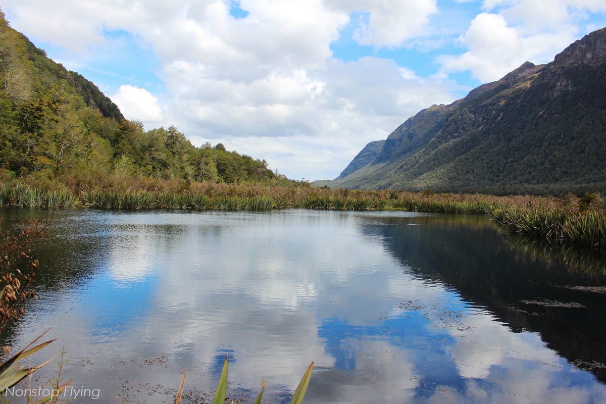 IMG_0313.jpg IMG_0313.jpg