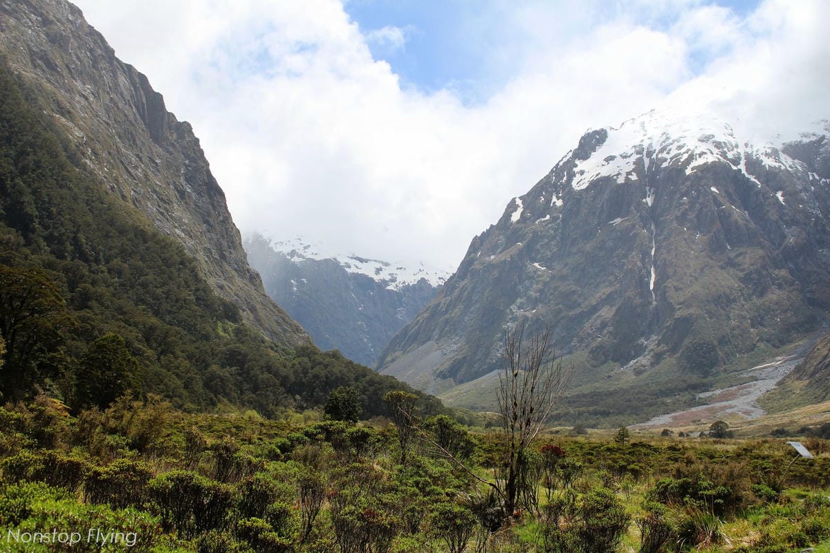 IMG_0242.jpg IMG_0242.jpg