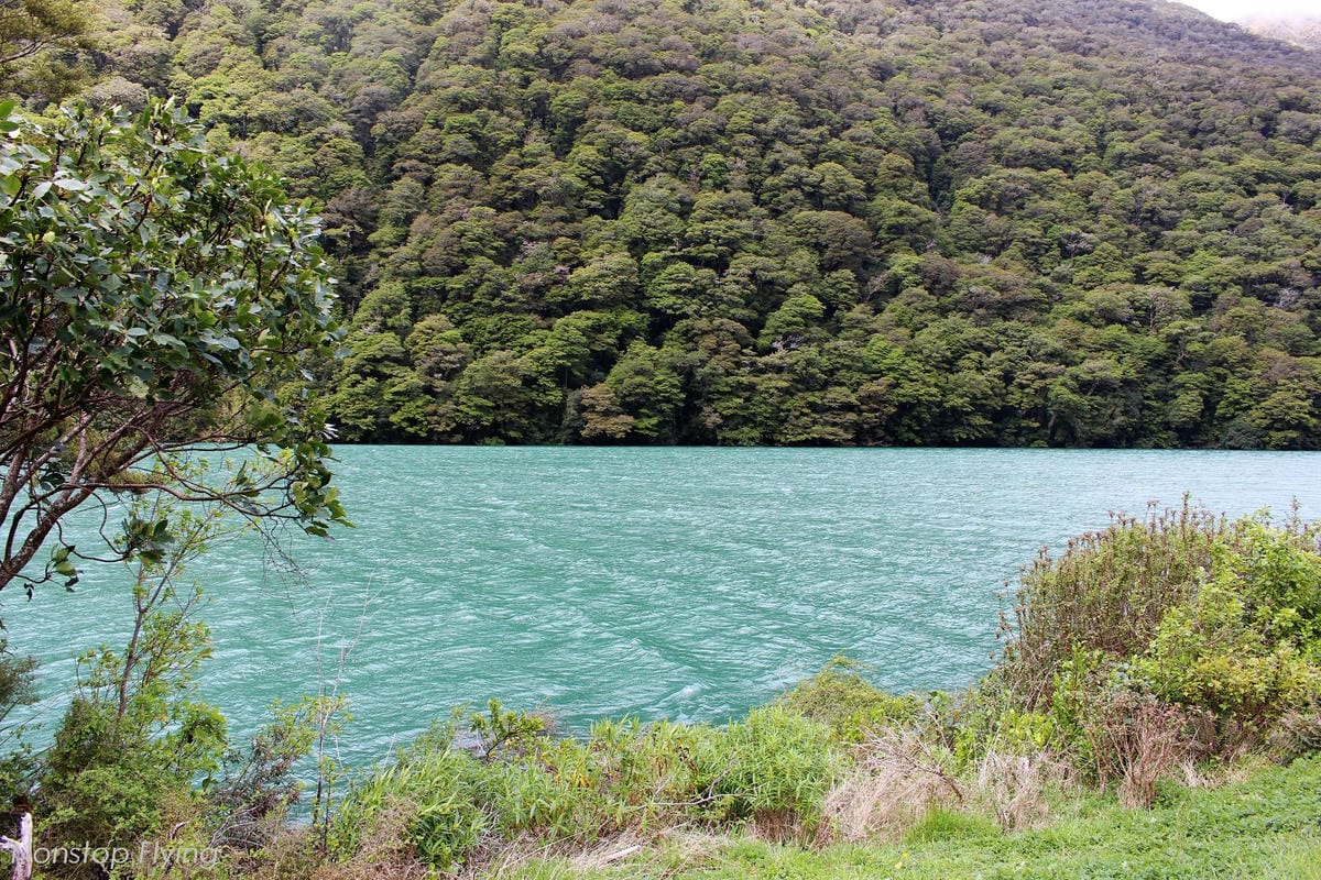 IMG_0290.jpg IMG_0290.jpg