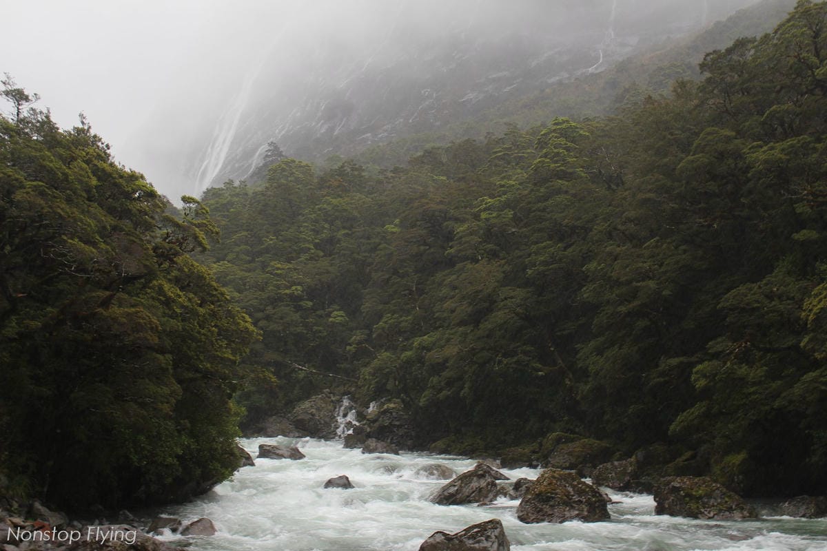 IMG_9856.jpg IMG_9856.jpg