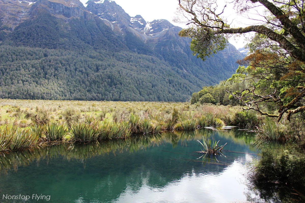 IMG_0305.jpg IMG_0305.jpg