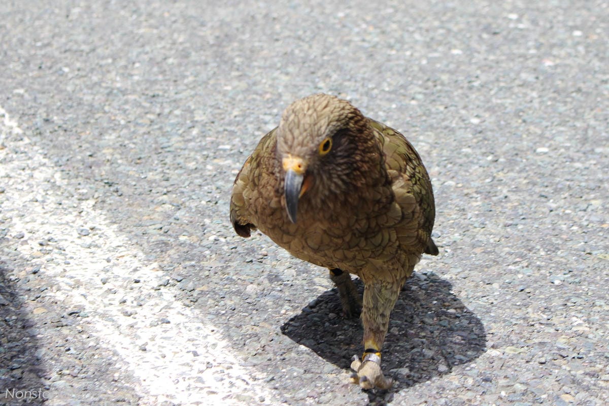 IMG_0244.jpg IMG_0244.jpg