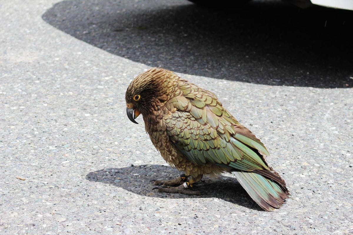 IMG_0241.jpg IMG_0241.jpg