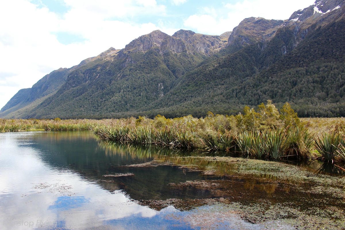 IMG_0308.jpg IMG_0308.jpg