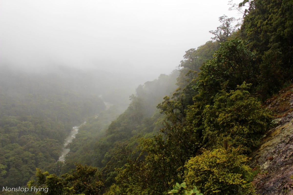 IMG_9850.jpg IMG_9850.jpg