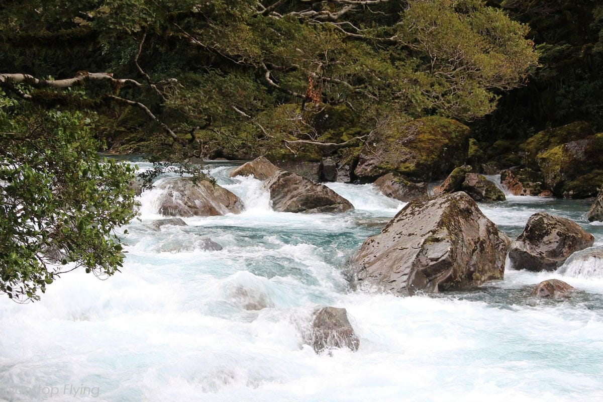 IMG_0280.jpg IMG_0280.jpg