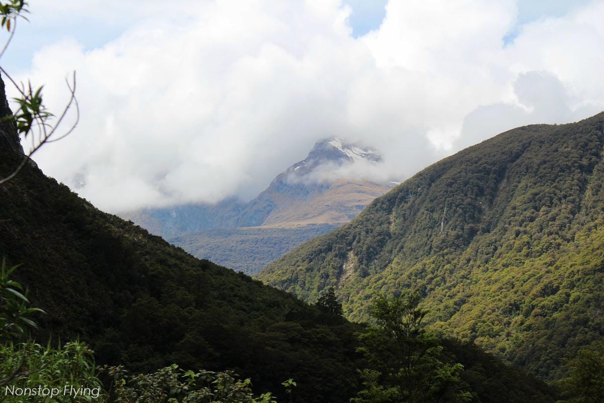 IMG_0274.jpg IMG_0274.jpg