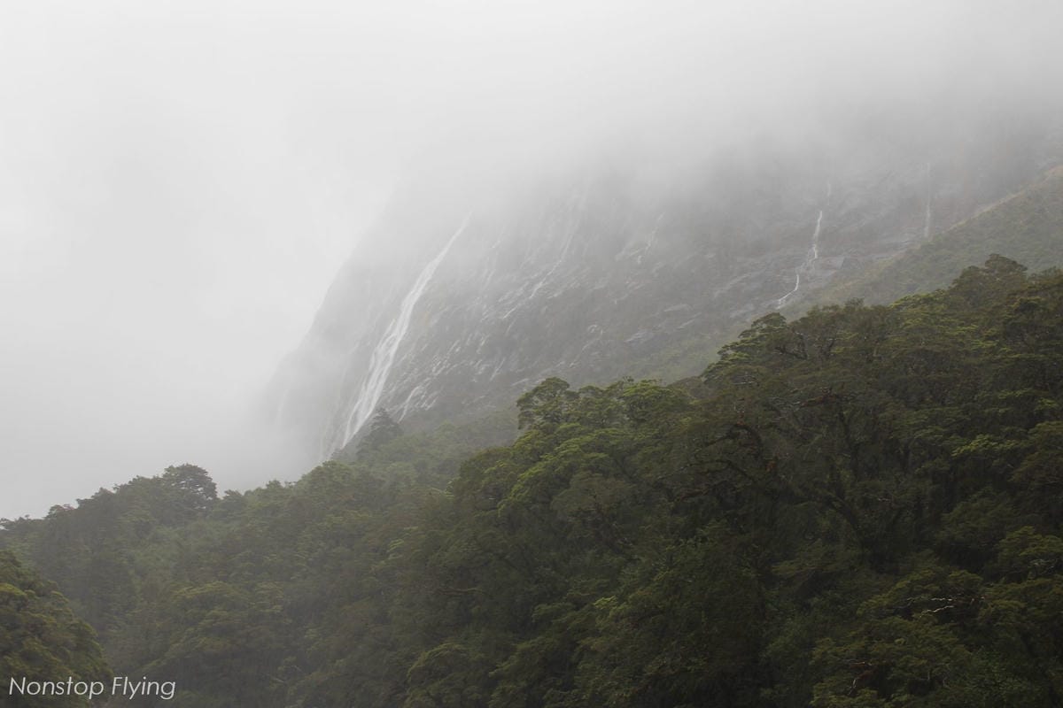 IMG_9859.jpg IMG_9859.jpg