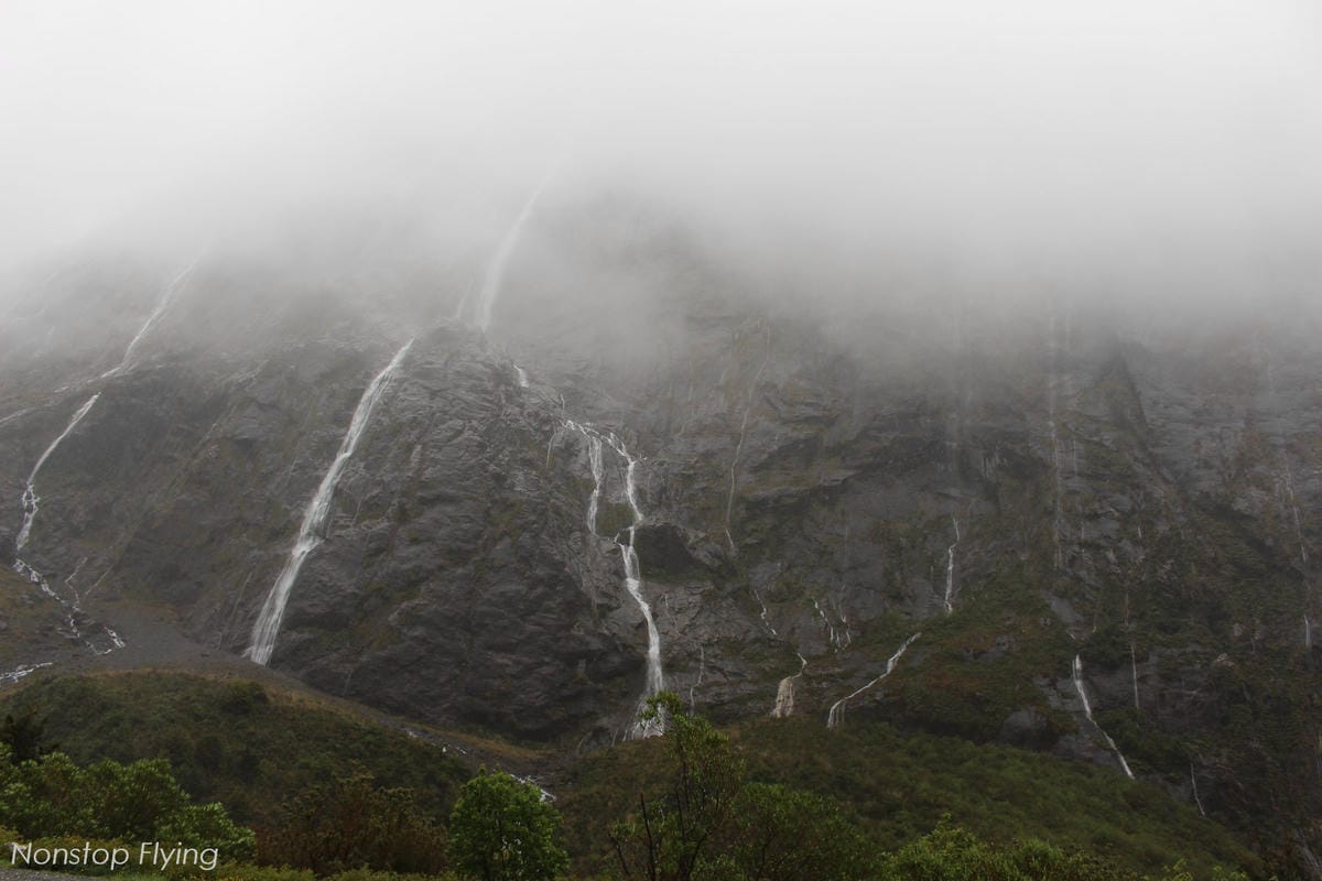 IMG_9865.jpg IMG_9865.jpg