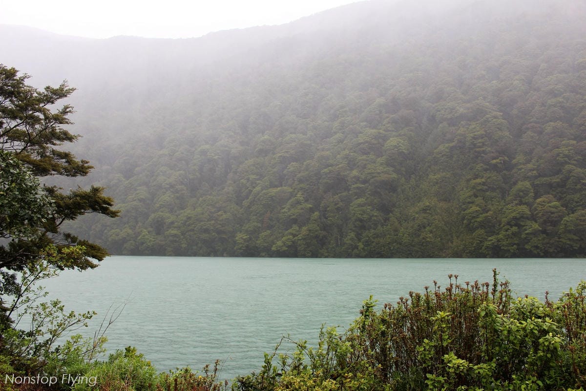 IMG_9846.jpg IMG_9846.jpg