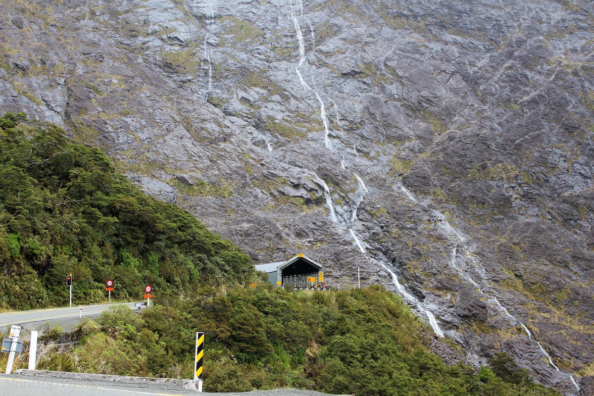 IMG_0232.jpg IMG_0232.jpg