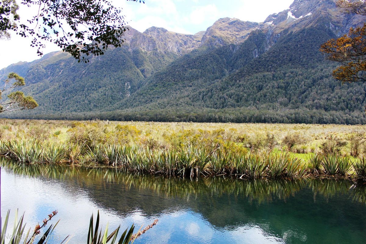 IMG_0304.jpg IMG_0304.jpg