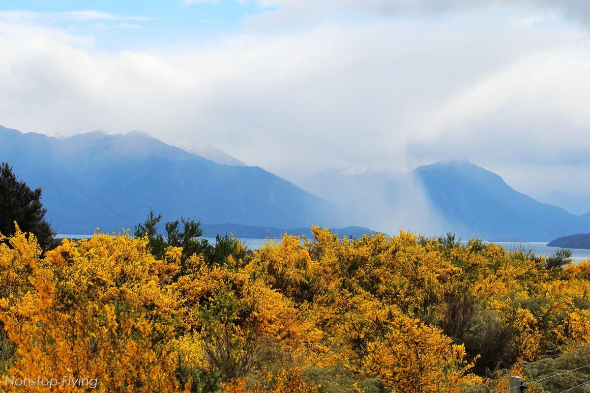 IMG_0333.jpg IMG_0333.jpg