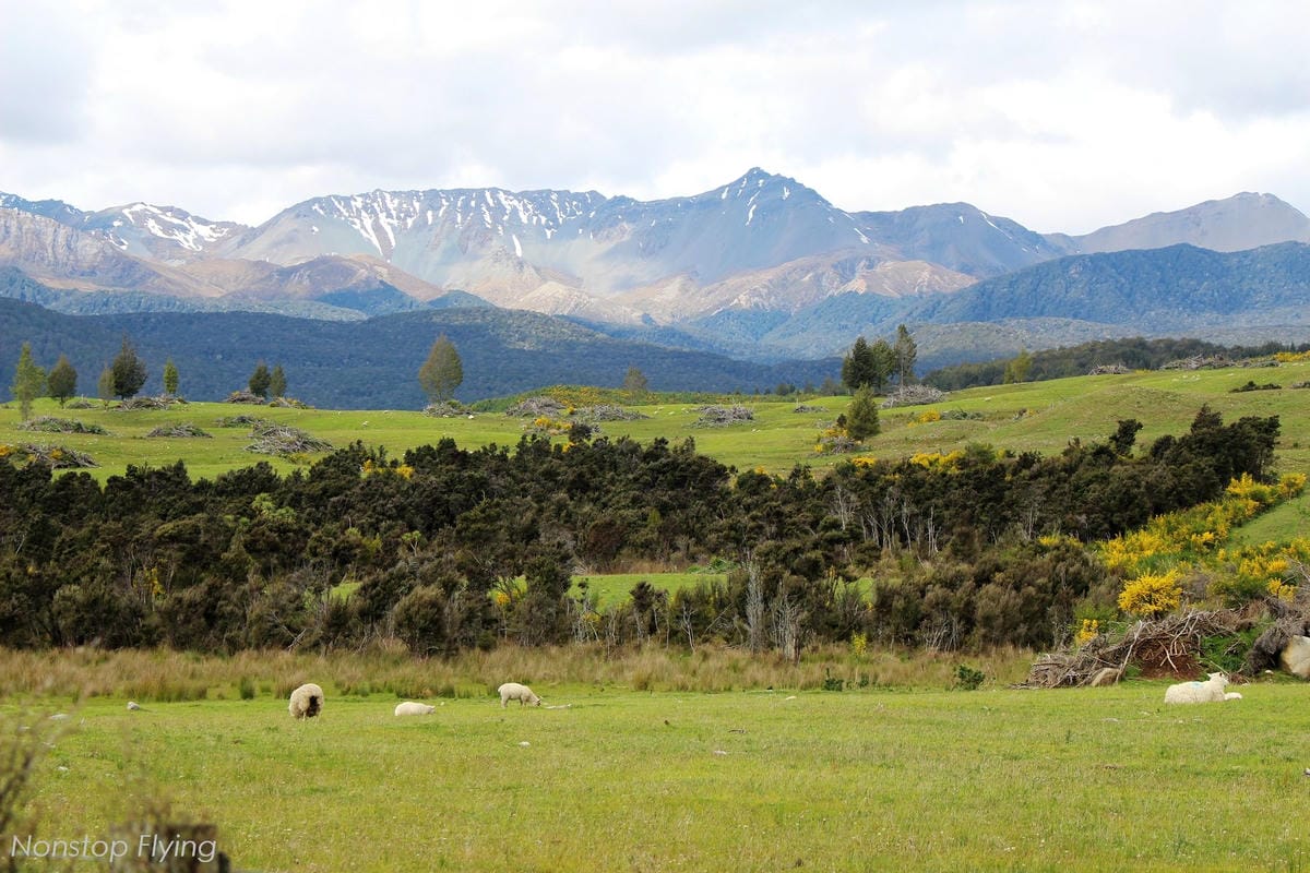 IMG_0330.jpg IMG_0330.jpg