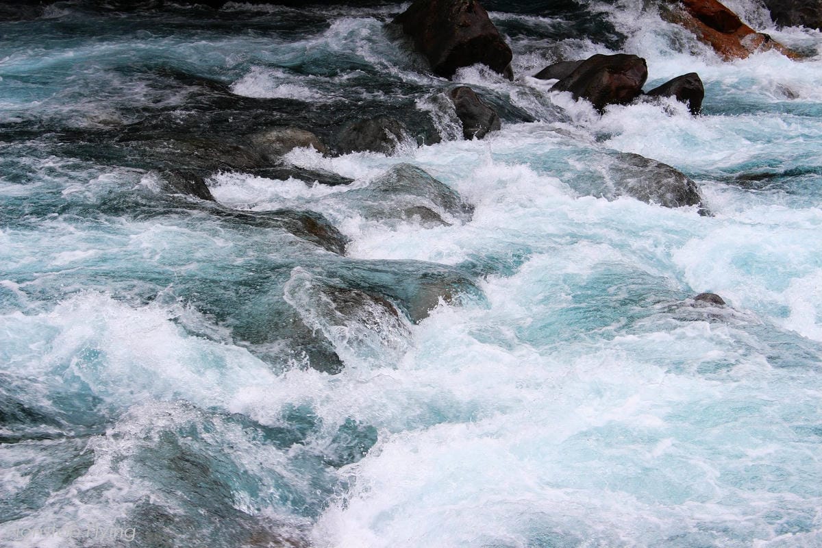 IMG_0284.jpg IMG_0284.jpg