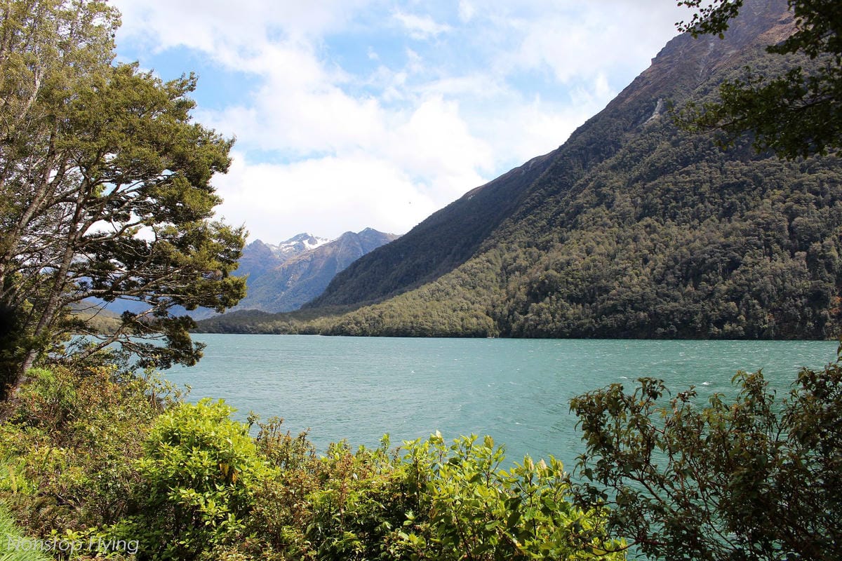 IMG_0295.jpg IMG_0295.jpg