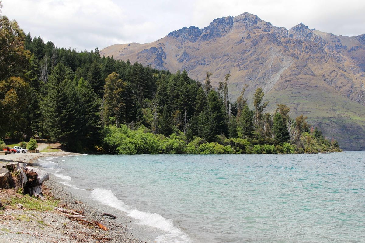 IMG_0460.jpg IMG_0460.jpg