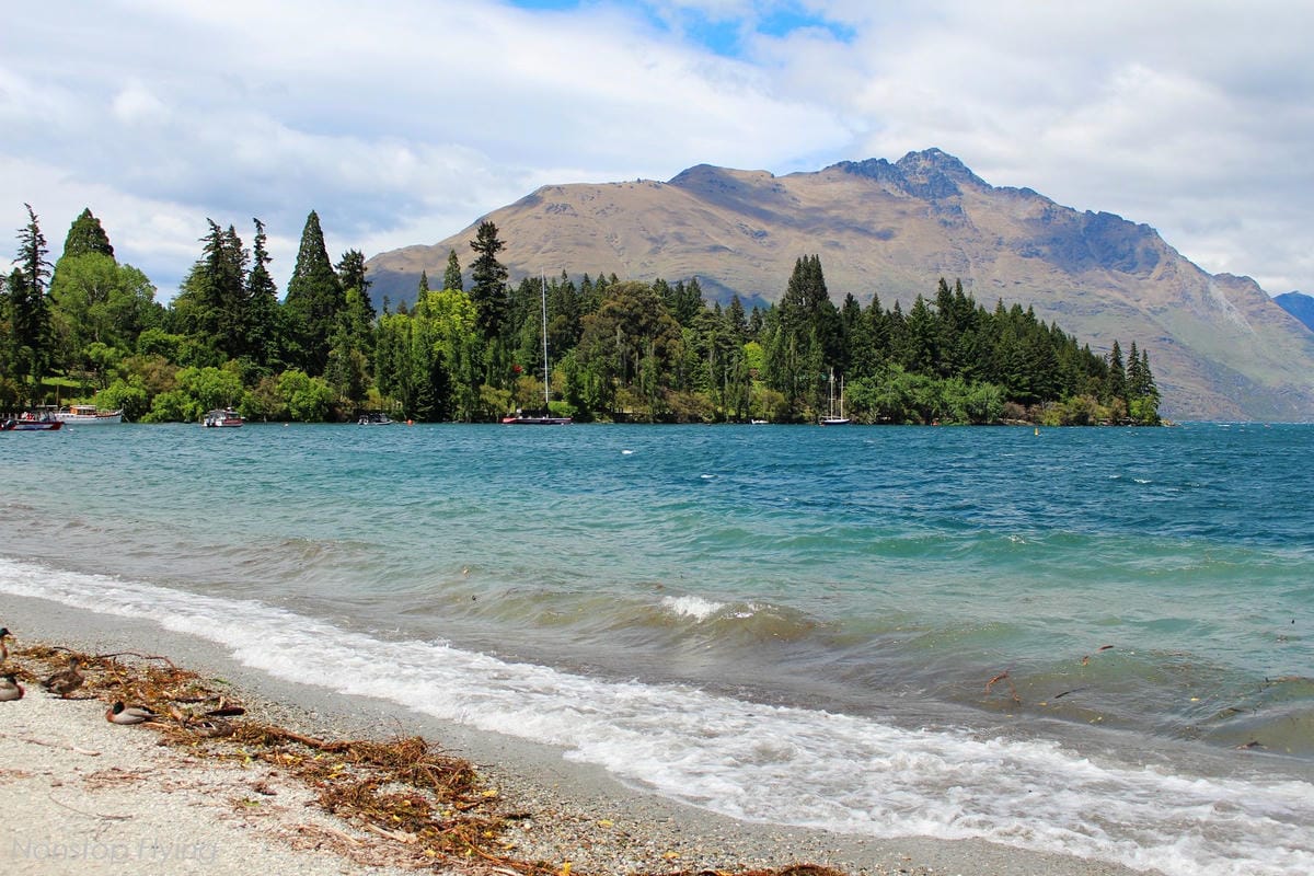 IMG_0399.jpg IMG_0399.jpg