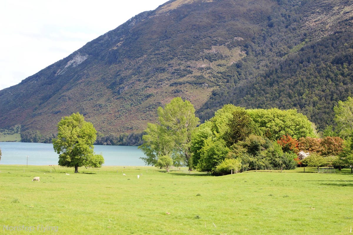 IMG_0506.jpg IMG_0506.jpg