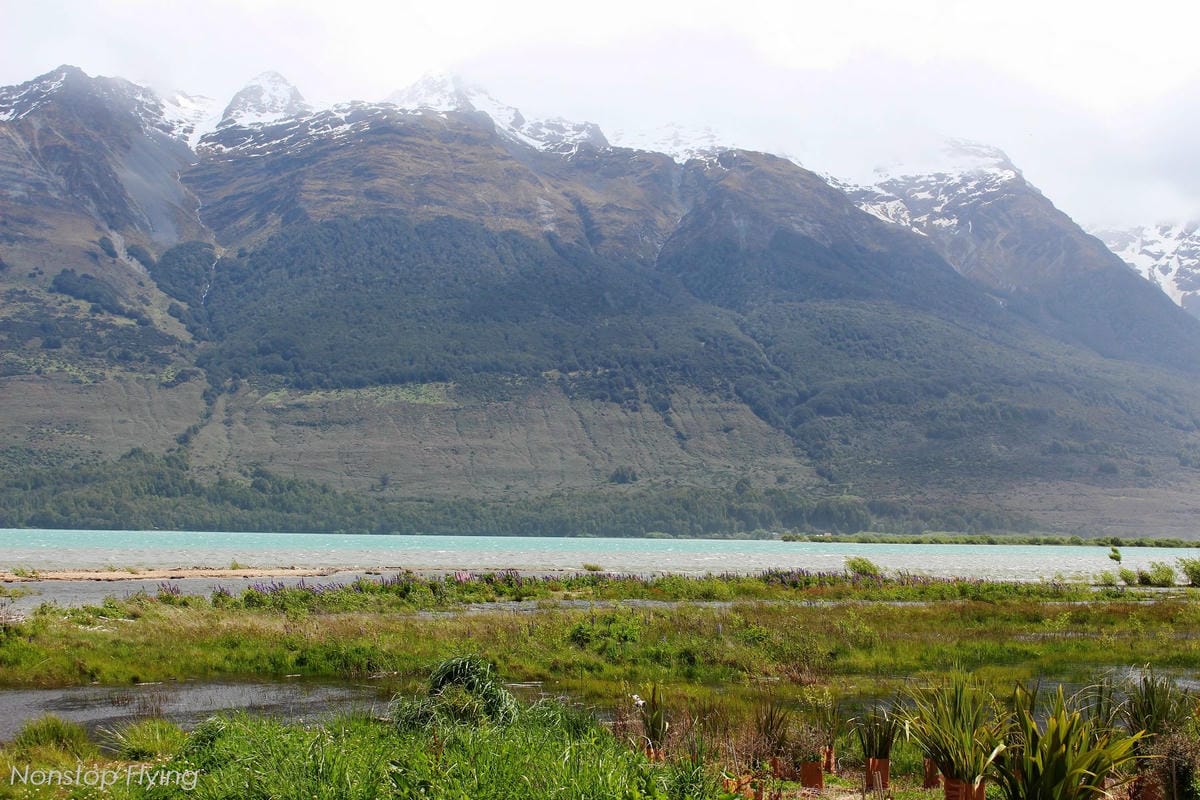 IMG_0468.jpg IMG_0468.jpg