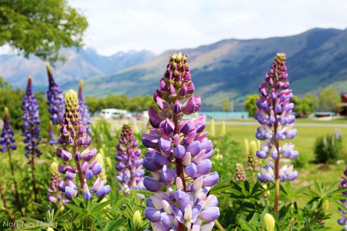 IMG_0467.jpg IMG_0467.jpg