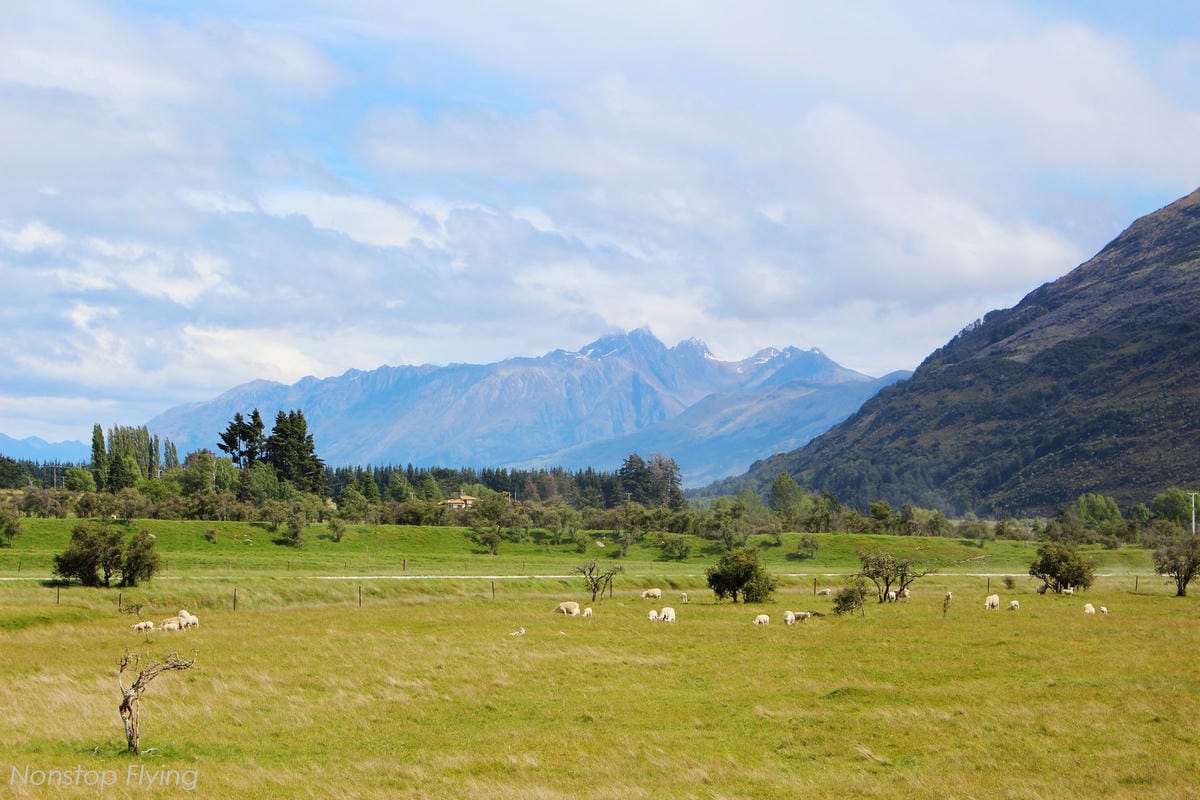 IMG_0511.jpg IMG_0511.jpg