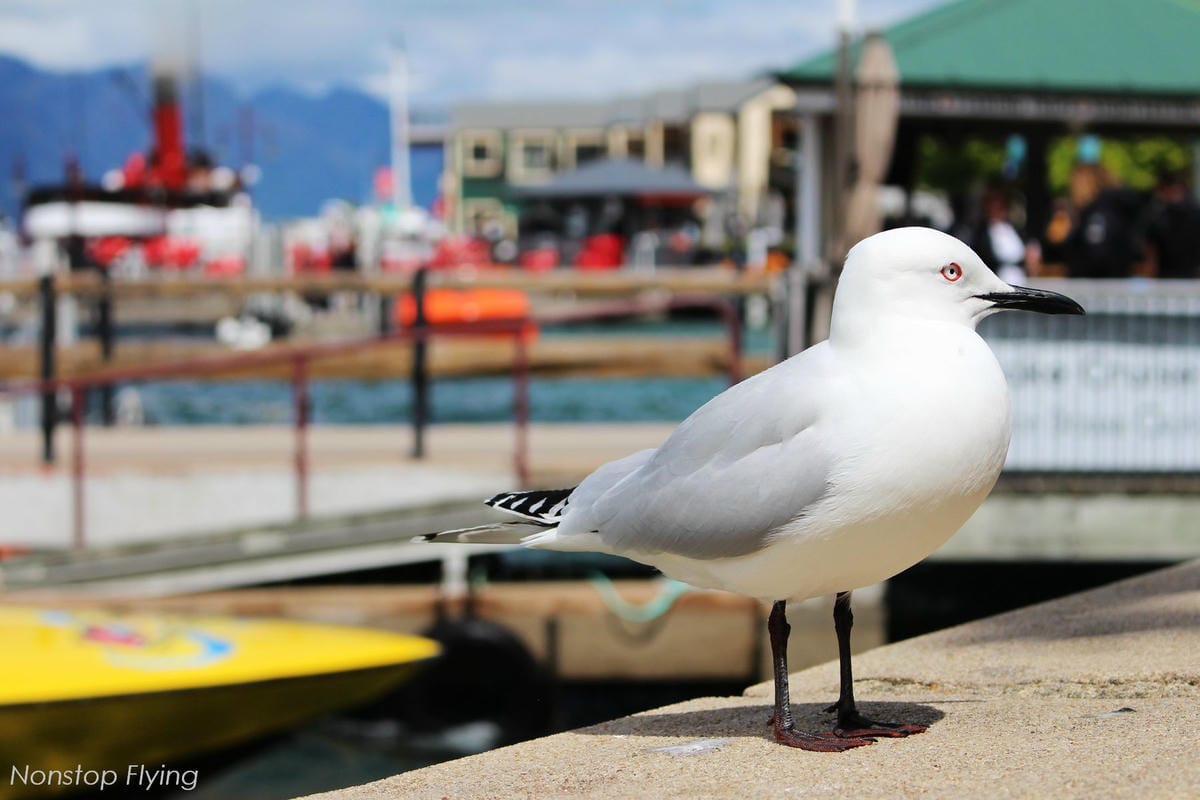 IMG_0393.jpg IMG_0393.jpg