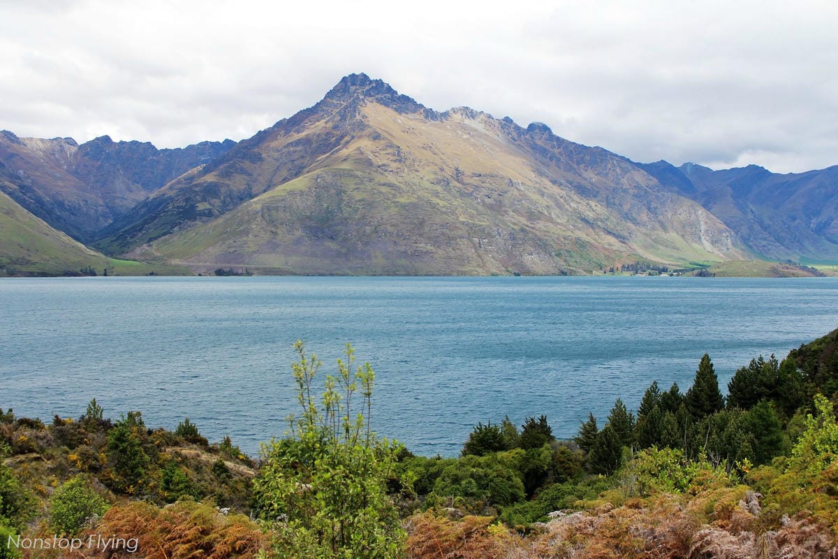 IMG_0450.jpg IMG_0450.jpg