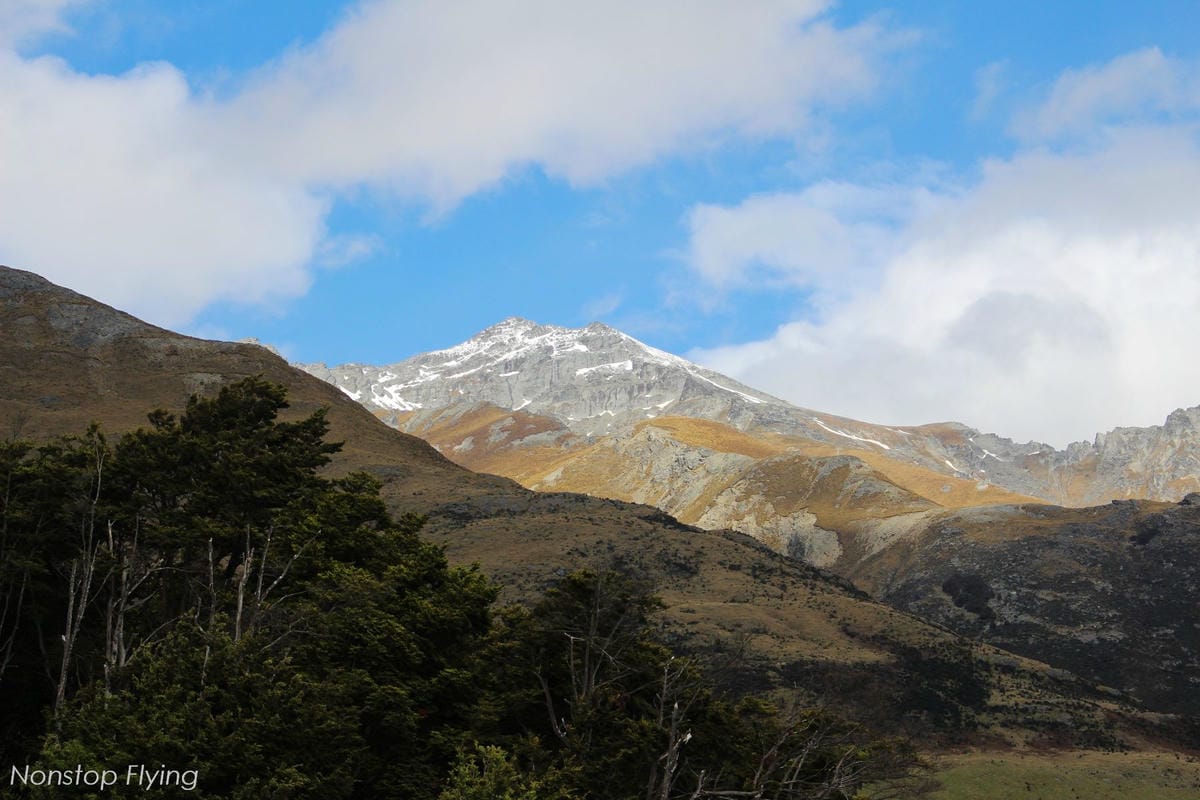 IMG_0514.jpg IMG_0514.jpg