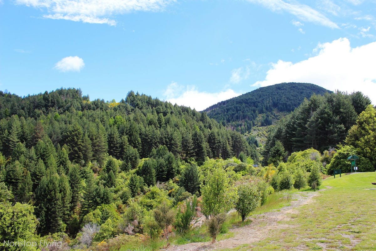 IMG_0453.jpg IMG_0453.jpg